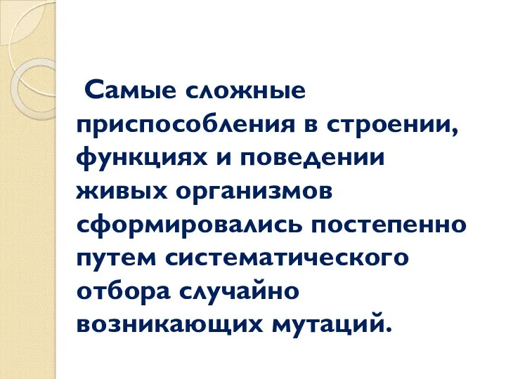 Самые сложные приспособления в строении, функциях и поведении живых организмов