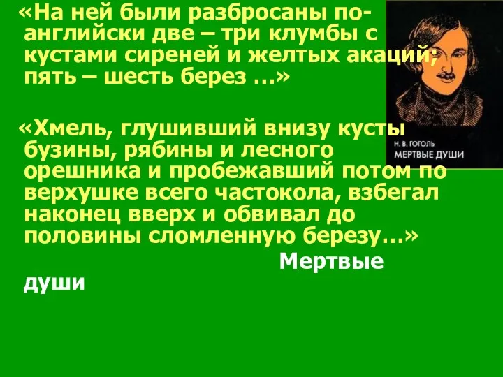 «На ней были разбросаны по-английски две – три клумбы с кустами сиреней и