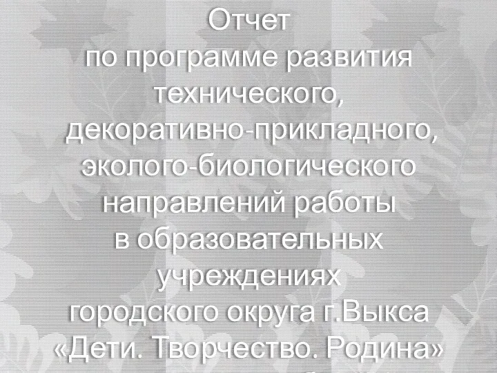 Отчет по программе Дети. Творчество. Родина за 2013-2014 учебный год