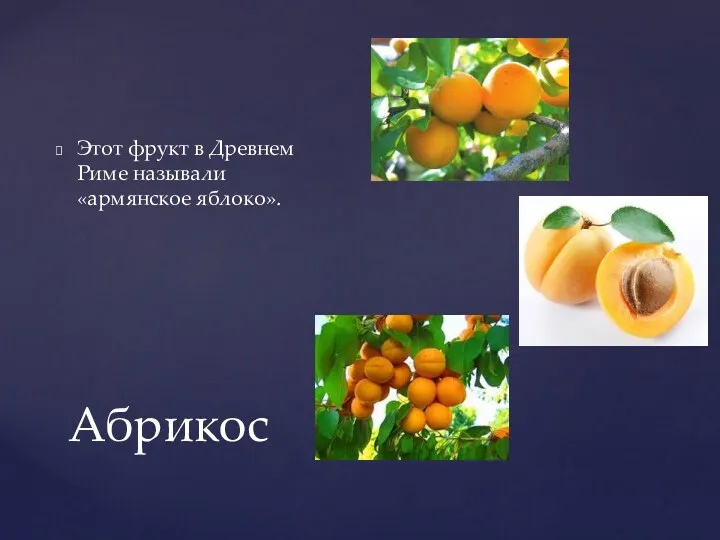 Абрикос Этот фрукт в Древнем Риме называли «армянское яблоко».