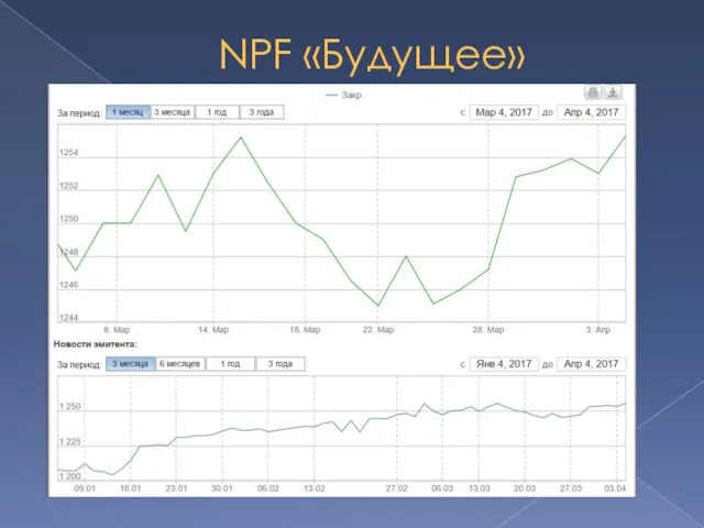 NPF «Будущее»