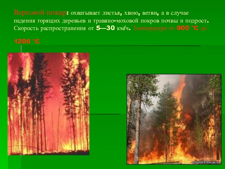 Верховой пожар: охватывает листья, хвою, ветви, а в случае падения горящих деревьев и