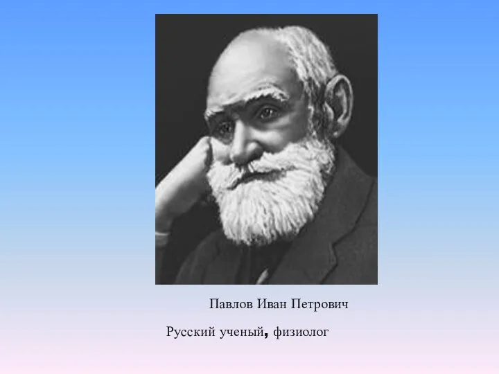 Павлов Иван Петрович Русский ученый, физиолог