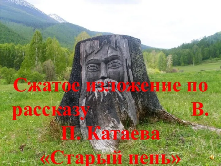 Сжатое изложение по рассказу В.П. Катаева «Старый пень»
