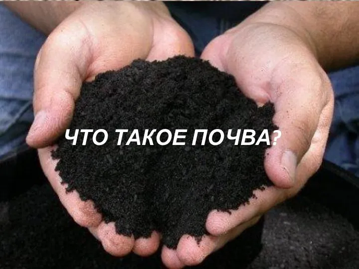 ЧТО ТАКОЕ ПОЧВА?