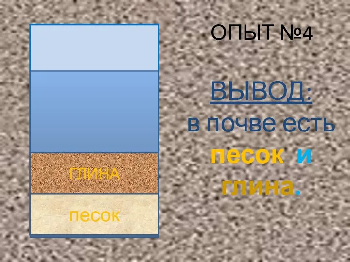 ОПЫТ №4 ВЫВОД: в почве есть песок и глина. ГЛИНА песок