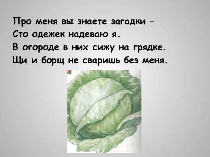 Про меня вы знаете загадки – Сто одежек надеваю я. В огороде в