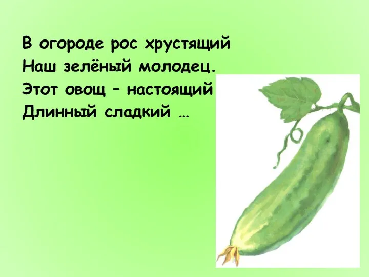 В огороде рос хрустящий Наш зелёный молодец. Этот овощ – настоящий Длинный сладкий …