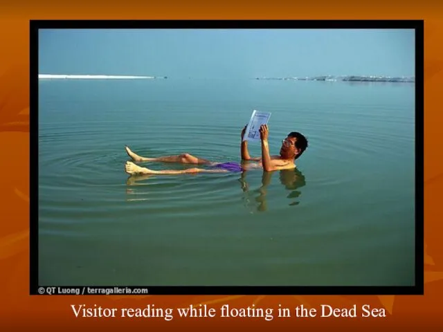 Visitor reading while floating in the Dead Sea