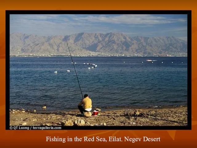 Fishing in the Red Sea, Eilat. Negev Desert