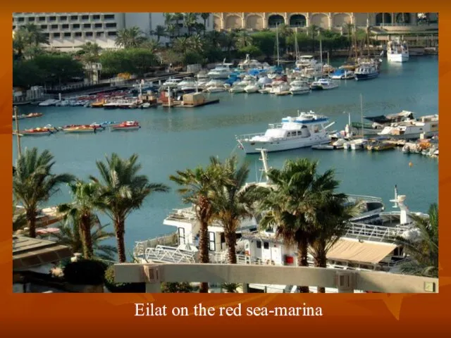 Eilat on the red sea-marina