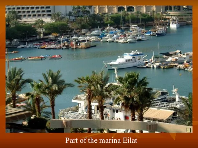 Part of the marina Eilat