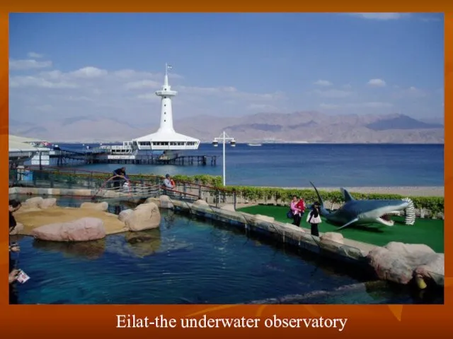 Eilat-the underwater observatory