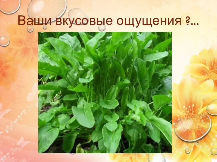 Ваши вкусовые ощущения ?...