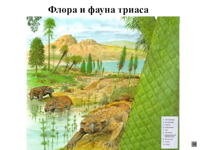 Флора и фауна триаса