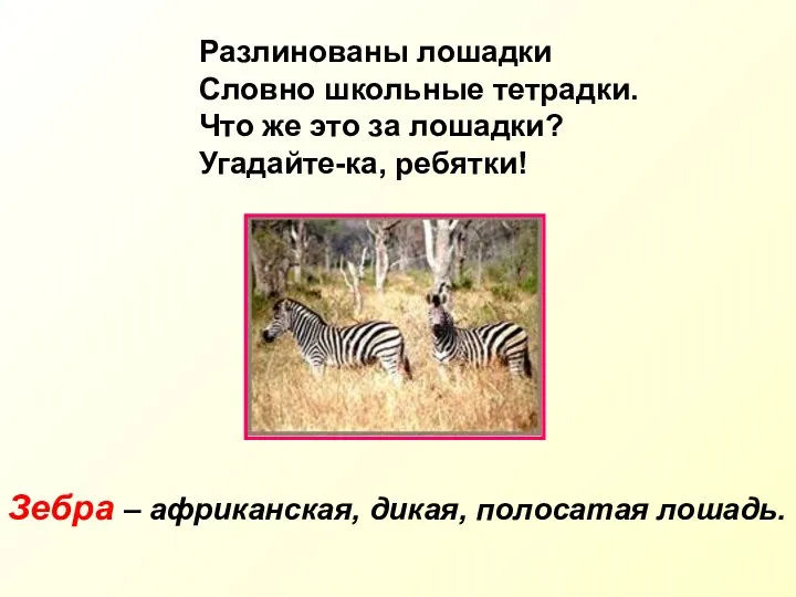 Разлинованы лошадки Словно школьные тетрадки. Что же это за лошадки?