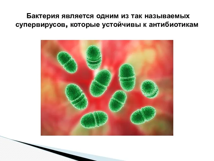 Бактерия является одним из так называемых супервирусов, которые устойчивы к антибиотикам