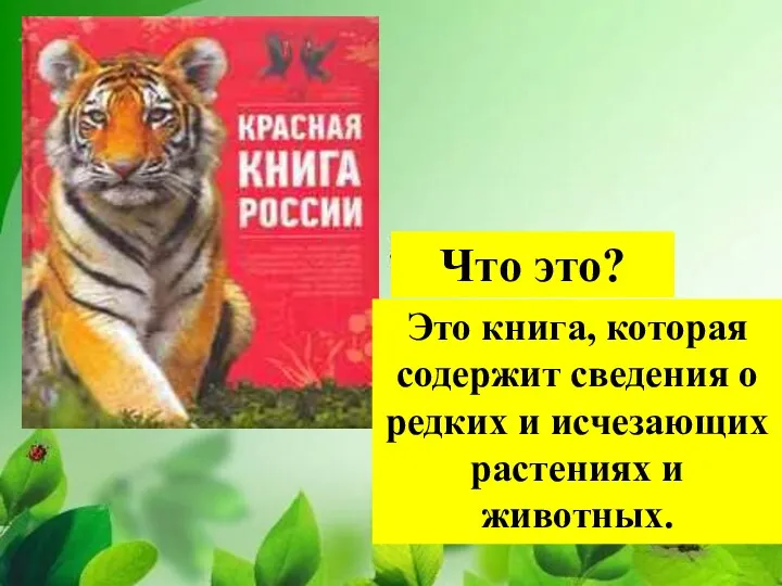 Это книга, которая содержит сведения о редких и исчезающих растениях и животных. Что это?