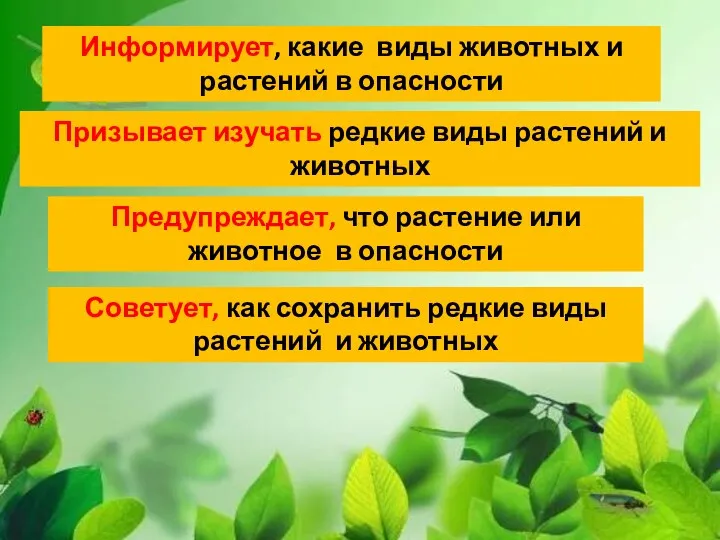 Информирует, какие виды животных и растений в опасности Призывает изучать