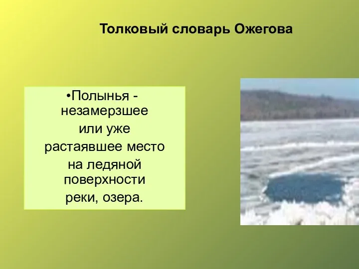 Толковый словарь Ожегова Полынья -незамерзшее или уже растаявшее место на ледяной поверхности реки, озера.