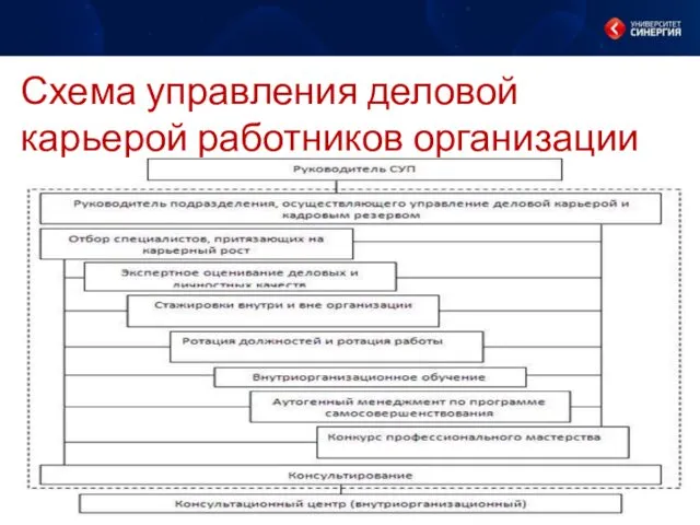 Схема управления деловой карьерой работников организации