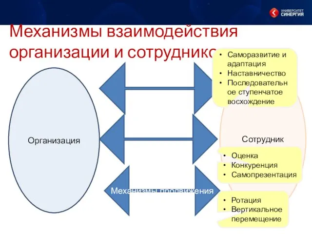 Механизмы взаимодействия организации и сотрудников Организация Сотрудник Механизмы развития Механизмы отбора Механизмы продвижения