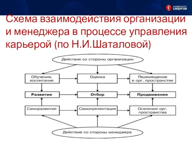 Схема взаимодействия организации и менеджера в процессе управления карьерой (по Н.И.Шаталовой)