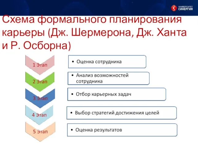 Схема формального планирования карьеры (Дж. Шермерона, Дж. Ханта и Р. Осборна)