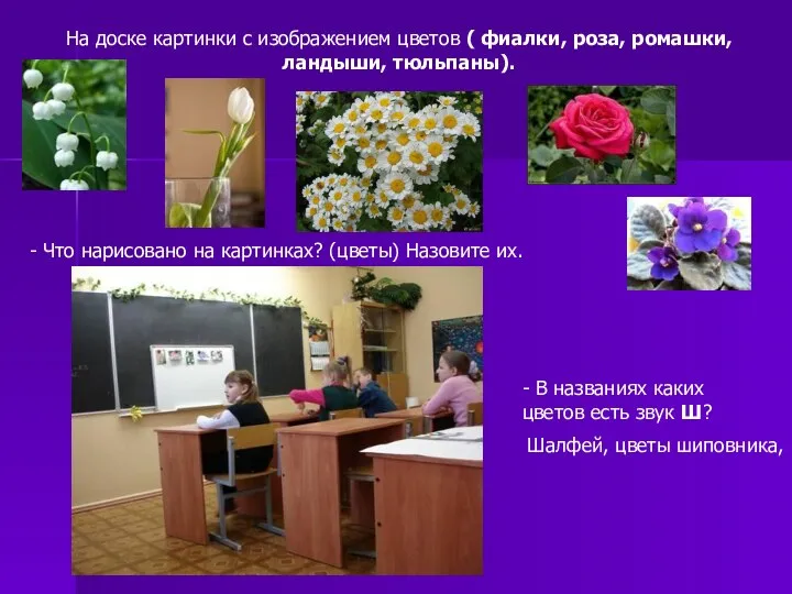 На доске картинки с изображением цветов ( фиалки, роза, ромашки, ландыши, тюльпаны). -