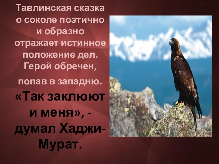 Тавлинская сказка о соколе поэтично и образно отражает истинное положение дел. Герой обречен,