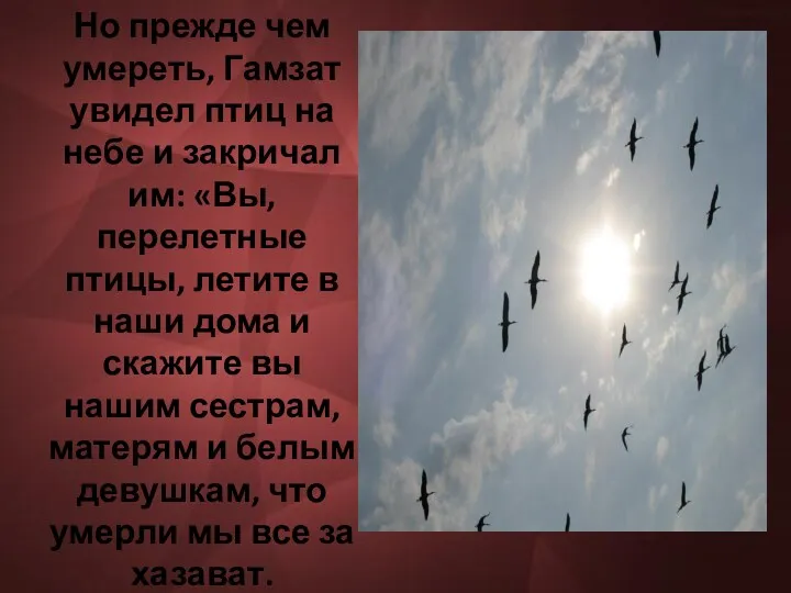 Но прежде чем умереть, Гамзат увидел птиц на небе и закричал им: «Вы,