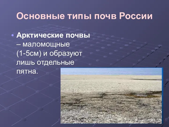 Основные типы почв России Арктические почвы – маломощные (1-5см) и образуют лишь отдельные пятна.