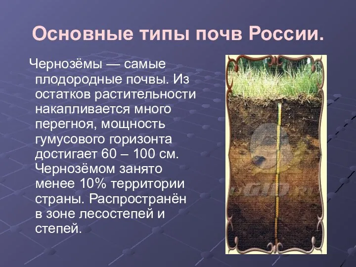 Основные типы почв России. Чернозёмы — самые плодородные почвы. Из остатков растительности накапливается