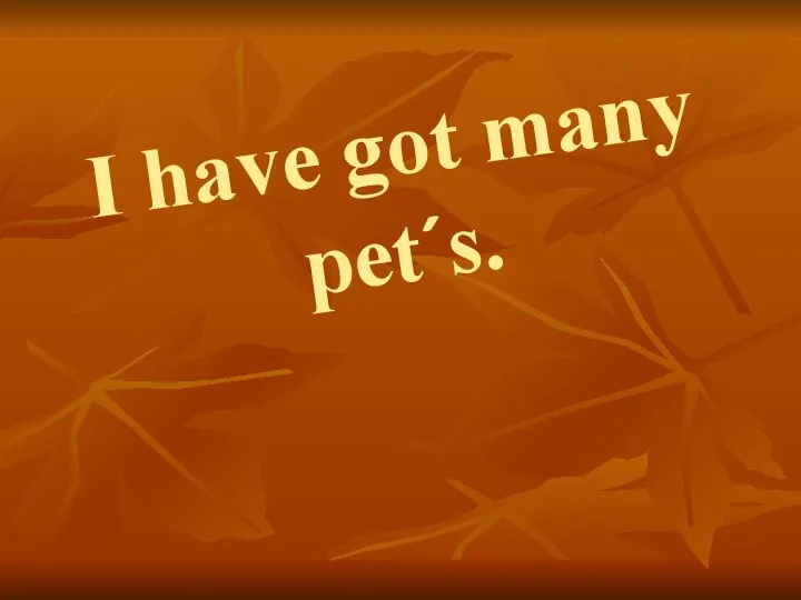 I have got many pet´s.