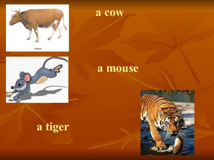 a cow a mouse a tiger