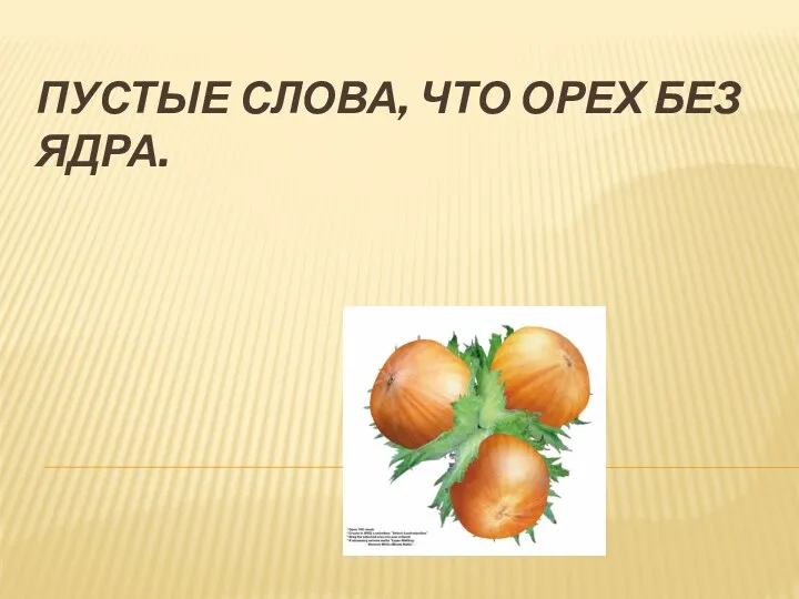 Пустые слова, что орех без ядра.