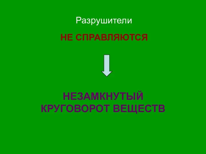 Разрушители НЕ СПРАВЛЯЮТСЯ НЕЗАМКНУТЫЙ КРУГОВОРОТ ВЕЩЕСТВ