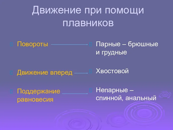 Движение при помощи плавников Повороты Движение вперед Поддержание равновесия Парные