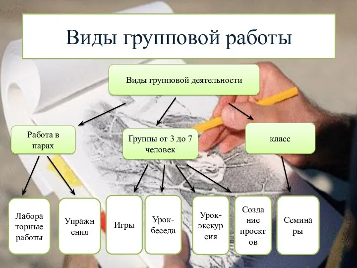 Виды групповой работы Виды групповой деятельности Работа в парах Группы