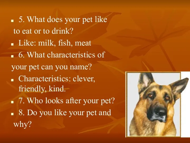 5. What does your pet like to eat or to