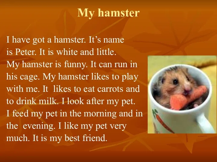 I have got a hamster. It’s name is Peter. It