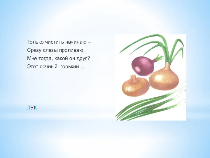 Только чистить начинаю – Сразу слезы проливаю. Мне тогда, какой он друг? Этот сочный, горький… ЛУК