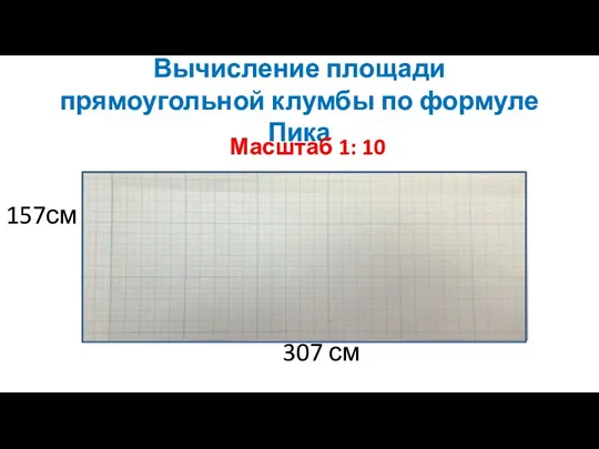 Вычисление площади прямоугольной клумбы по формуле Пика 307 см 157см Масштаб 1: 10