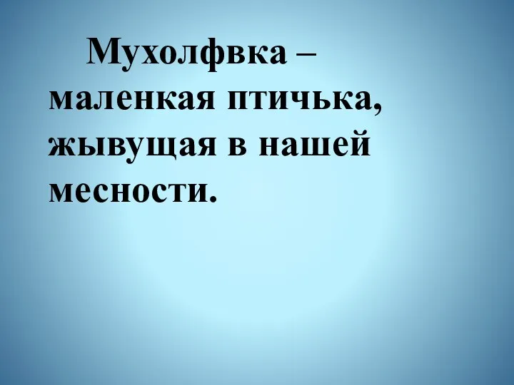 Мухолфвка – маленкая птичька, жывущая в нашей месности.