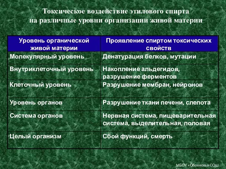 Токсическое воздействие этилового спирта на различные уровни организации живой материи