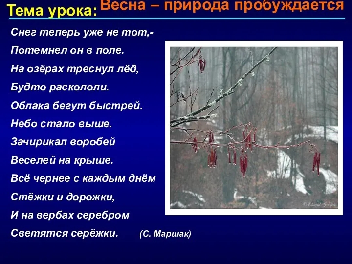 Тема урока: Снег теперь уже не тот,- Потемнел он в