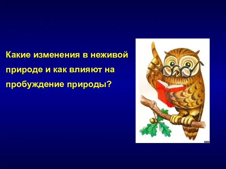 Какие изменения в неживой природе и как влияют на пробуждение природы?