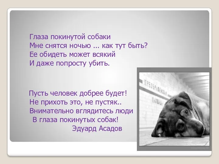 Глаза покинутой собаки Мне снятся ночью ... как тут быть? Ее обидеть может