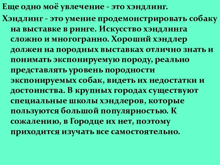 Еще одно моё увлечение - это хэндлинг. Хэндлинг - это умение продемонстрировать собаку