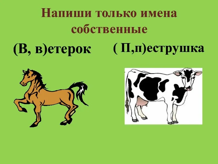 Напиши только имена собственные (В, в)етерок ( П,п)еструшка